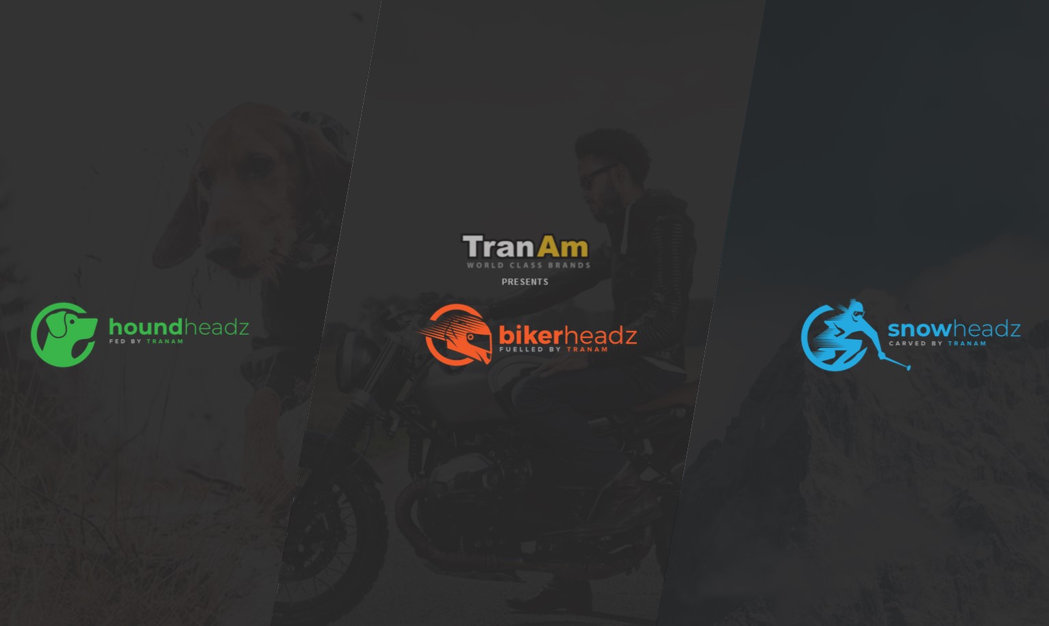 Tranam Group website - Web Design by southcoastweb